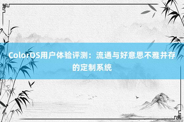 ColorOS用户体验评测：流通与好意思不雅并存的定制系统